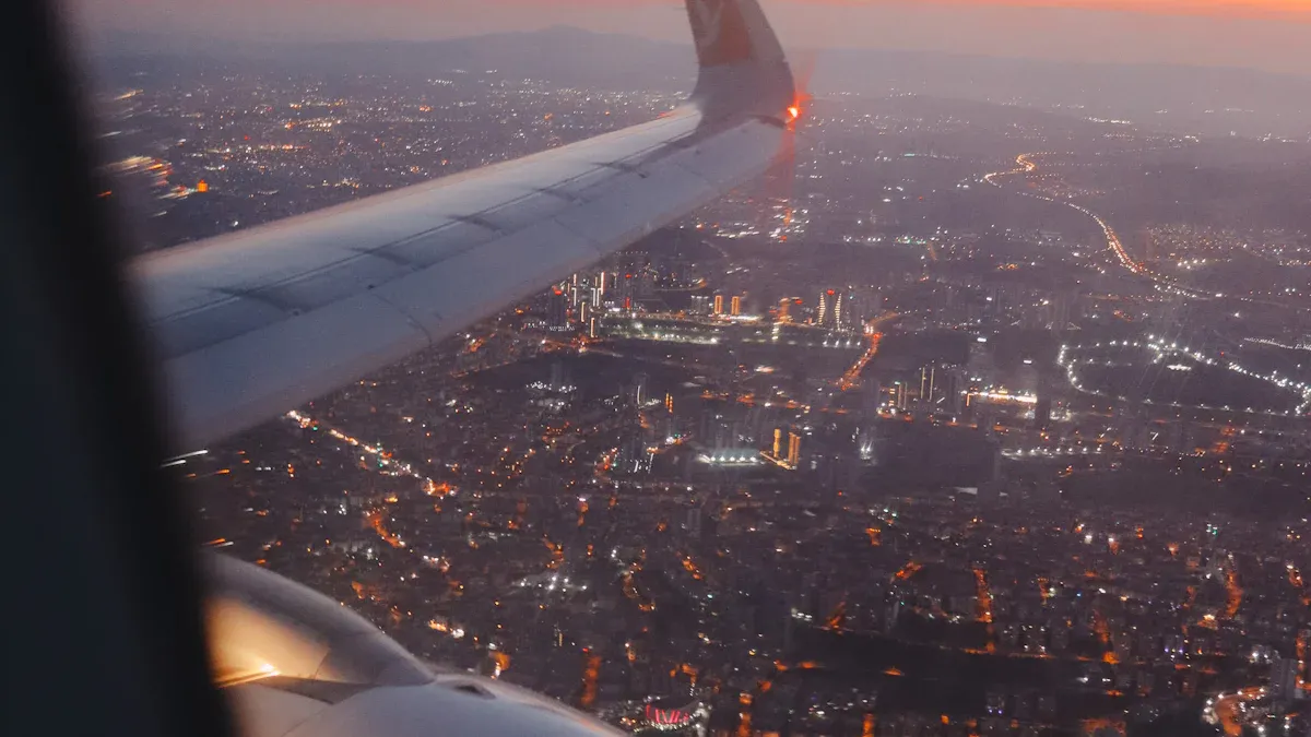 The Global Low-Altitude Economy